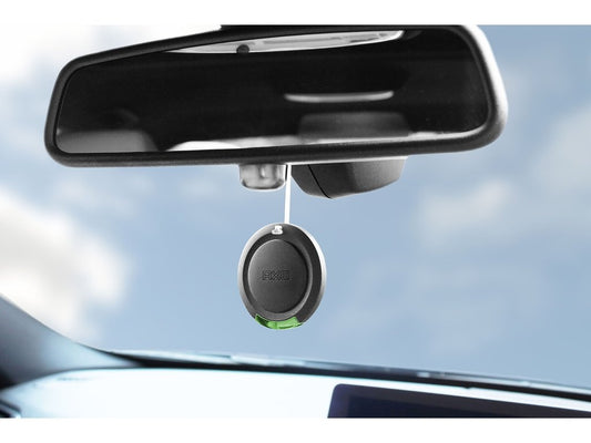 AXE - 3D Hanging Africa