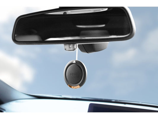 AXE 3D Hanging Dark Temptation